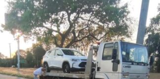 Meia tonelada de maconha é apreendida na BR-381, em Antônio Dias