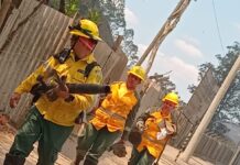 Brigada Florestal Voluntária de João Monlevade abre inscrições para novos voluntários