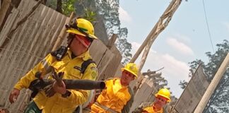 Brigada Florestal Voluntária de João Monlevade abre inscrições para novos voluntários