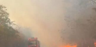 Fumaça de incêndio interdita trecho da BR-381