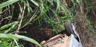 Capotamento deixa dois feridos na BR-381, em Nova Era