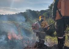 Brigada Voluntária combate incêndio florestal no bairro Planalto
