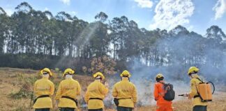 Câmara aprova correção de área da Brigada Florestal