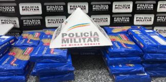 Polícia Militar prende sete suspeitos de roubo de carga na BR-381