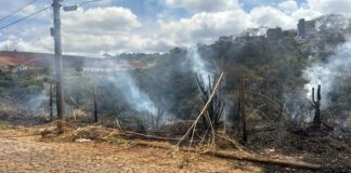 Brigada Florestal combate incêndio próximo ao DVO
