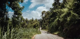 Estrada do Jacuí terá interdição parcial para obras de contenção