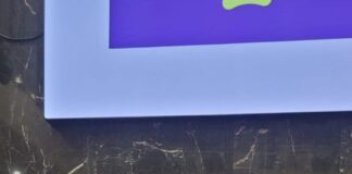 Parlamento Jovem: Plenária Final define propostas aprovadas