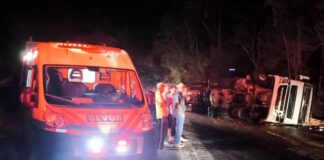 Acidente entre ônibus e carreta deixa três feridos em São Domingos do Prata