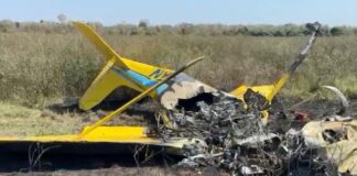 Tragédia no Pantanal: Queda de avião mata arquiteto chinês Kongjian Yu e cineastas brasileiros