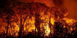 Brasil registra mais de 57 mil focos de incêndio em 2025, aponta Inpe