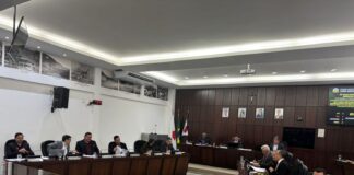 Câmara aprova projetos de lei voltados à saúde, acolhimento e proteção à infância