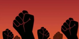 Semana da Consciência Negra 2025 – Baobá Zumbi tem programação atualizada