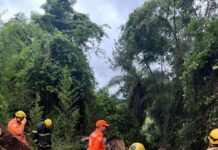 Caminhão-pipa capota e mata motorista em estrada de Barão de Cocais