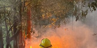 Brigada Florestal Voluntária e moradores controlam incêndio no Jardim Vitória