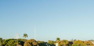 Prefeitura de BH inicia passeios turísticos na Lagoa da Pampulha