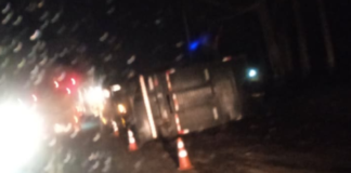 Carreta com bois tomba e interdita totalmente a BR-381 em São Gonçalo do Rio Abaixo