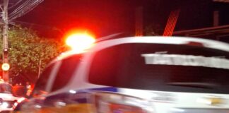 Quadrilha rouba carga de alimentos na BR-381 durante a madrugada