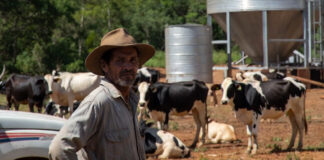 Desenrola Rural: mais de 440 mil produtores rurais regularizaram dívidas