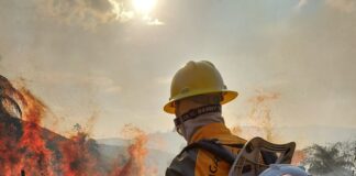 Brigada Florestal Voluntária busca voluntários para prevenção de incêndios