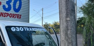 Motorista perde controle ao evitar atropelamento de animal e bate em poste