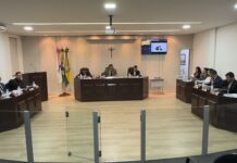 Câmara de São Gonçalo avança com propostas para infraestrutura e segurança antes da próxima sessão