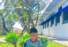 João Monlevade conquista, pela segunda vez consecutiva, o Selo Ouro do Compromisso Nacional com a Alfabetização