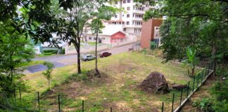 Parque do Areão terá estacionamento, pet park e nova área de lazer