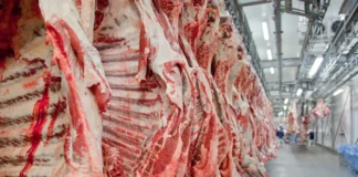 Cresce participação da carne bovina brasileira no Sudeste Asiático