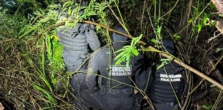Corpo de corretora que estava desaparecida em Caldas Novas é encontrado