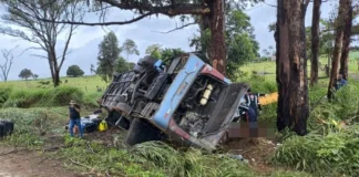 Cinco mortes são confirmadas em capotamento de ônibus de turismo na BR-365, em MG
