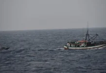 Operação internacional apreende 1.300 kg de cocaína em alto mar