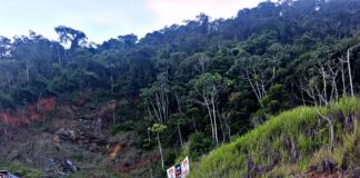 Caminhoneiro de 24 anos não resiste após tombamento na estrada do Forninho
