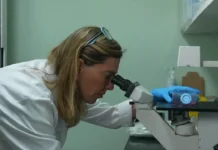 Pesquisa brasileira estuda molécula que pode ajudar a recuperar movimentos após lesão na medula