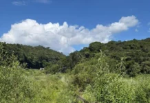 Ligações clandestinas de água e luz são descobertas às margens da BR-381