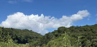 Ligações clandestinas de água e luz são descobertas às margens da BR-381
