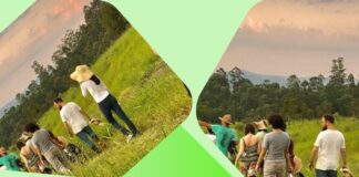 Curso gratuito de Condutor de Turismo Rural abre inscrições em João Monlevade