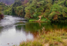 Projetos na Bacia do Rio Piracicaba preveem R$126 milhões em investimentos