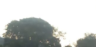 Acidente entre carretas deixa motorista ferido na BR-381, em São Gonçalo do Rio Abaixo