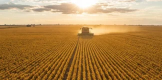 Agro recua 1,5% em janeiro, mostra prévia do PIB do Banco Central