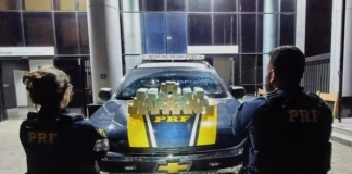 PRF apreende cerca de R$ 750 mil em espécie na BR-381