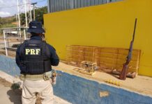 Homem é preso pela PRF com aves silvestres, arma e munições após tentar fugir de fiscalização na BR-262