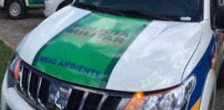 PM de Meio Ambiente cumpre mandado de prisão em Dionísio