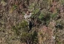 Mulher é resgatada com vida em penhasco na Serra do Rola-Moça após mais de 24 horas de buscas