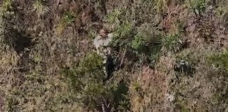 Mulher é resgatada com vida em penhasco na Serra do Rola-Moça após mais de 24 horas de buscas