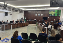 Esporotricose e apoio ao produtor rural pautam votações na Câmara de João Monlevade