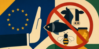 União Europeia oficializa veto a carnes, peixes e mel do Brasil; setor pode perder até R$ 10 bilhões