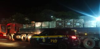 Maconha escondida em carga de calcário é apreendida pela PRF na BR-262