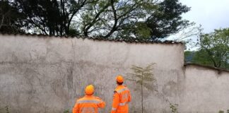 Bombeiros passam cerca de oito horas em ação para conter enxame de abelhas em João Monlevade