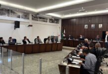 Projeto que regulamenta entrada de animais de estimação em estabelecimentos comerciais é aprovado