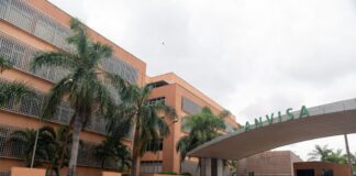 Anvisa aprova novo medicamento para linfoma não Hodgkin